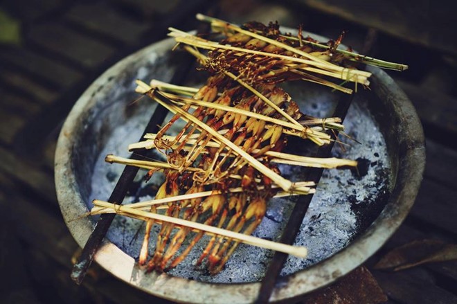 du lịch biển giá rẻ