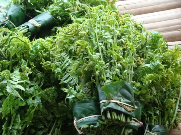du lịch biển giá rẻ