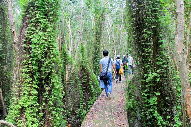du lịch biển giá rẻ
