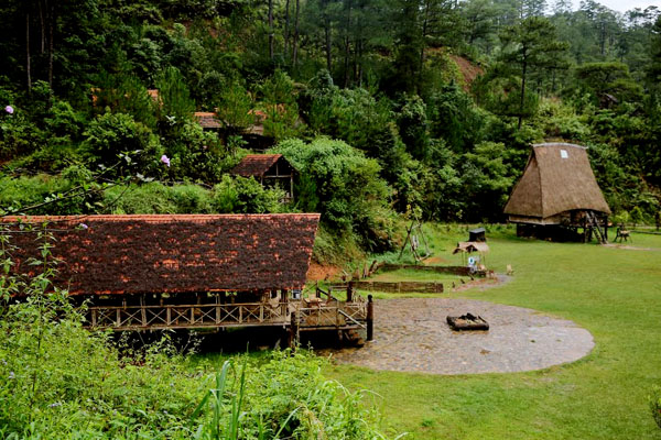 du lịch biển giá rẻ