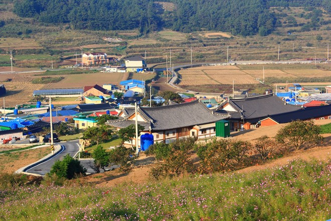 du lịch biển giá rẻ